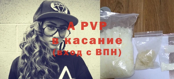 СК Аркадак